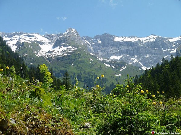 Bächistock 2914 m (H/B/WS) Hermann Gassner