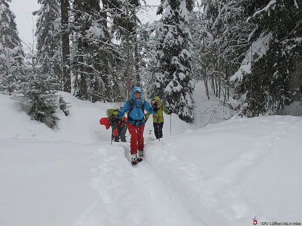 Skitour BGF (AU, S/B/L) Franz Zürcher
