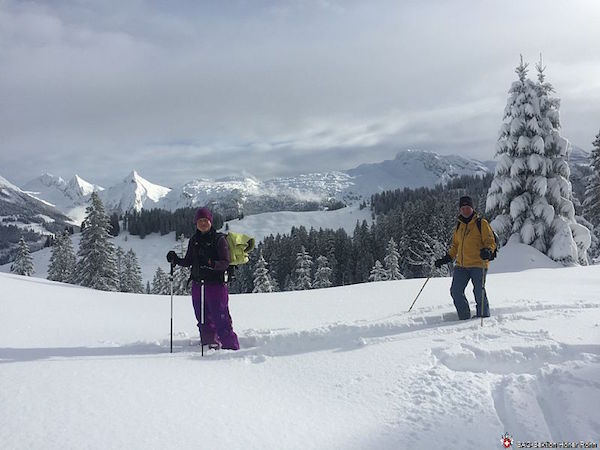 Einsteigerskitour  (S, SB/B/L) Jürg Rellstab