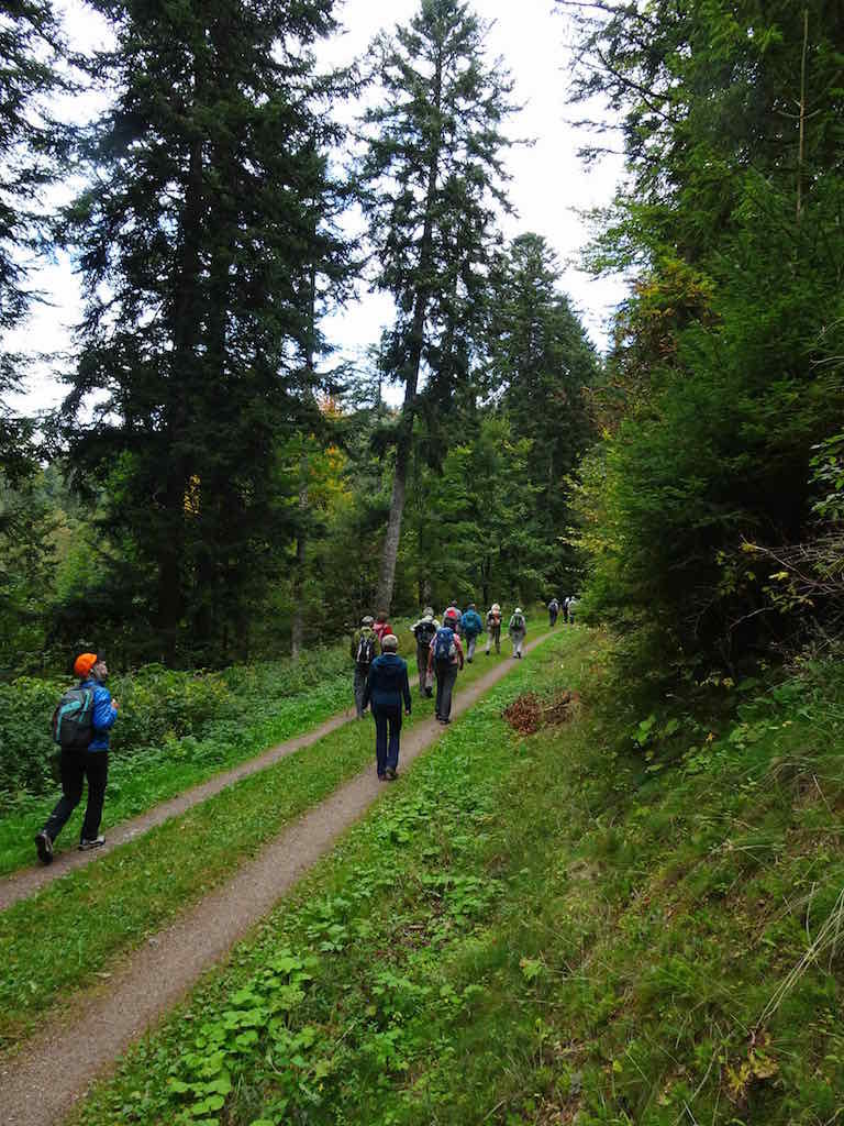 Schwarzwald (W/B/T1) Verena Schmid