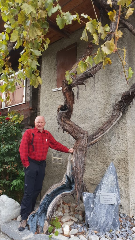Tessin Wandern&Geniessen (W/B/T3) Jörg Schwarz