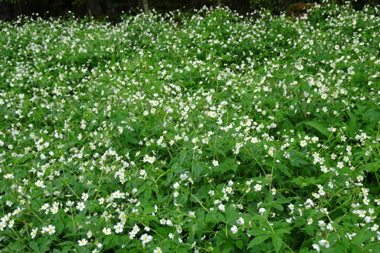 DSC07843