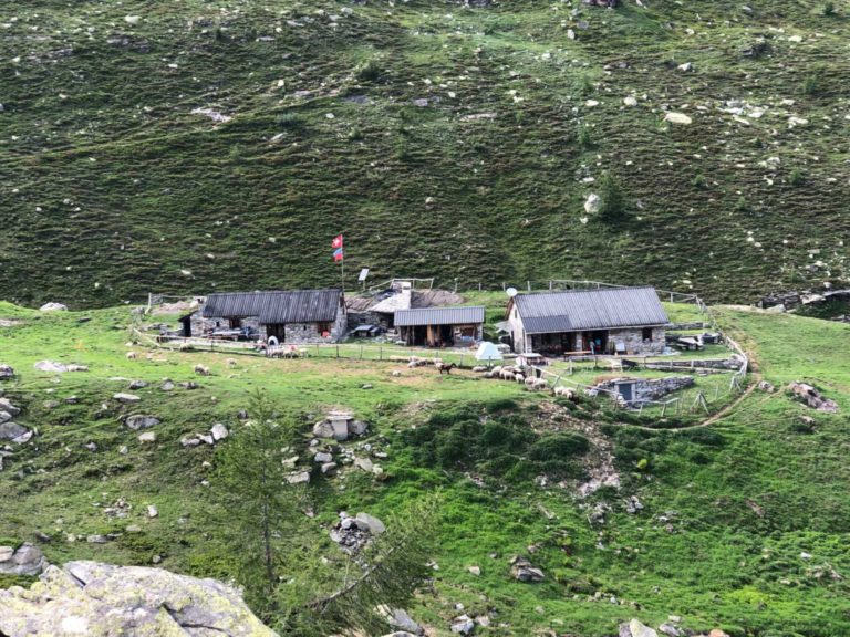 1 Rifugion Pian delle Creste