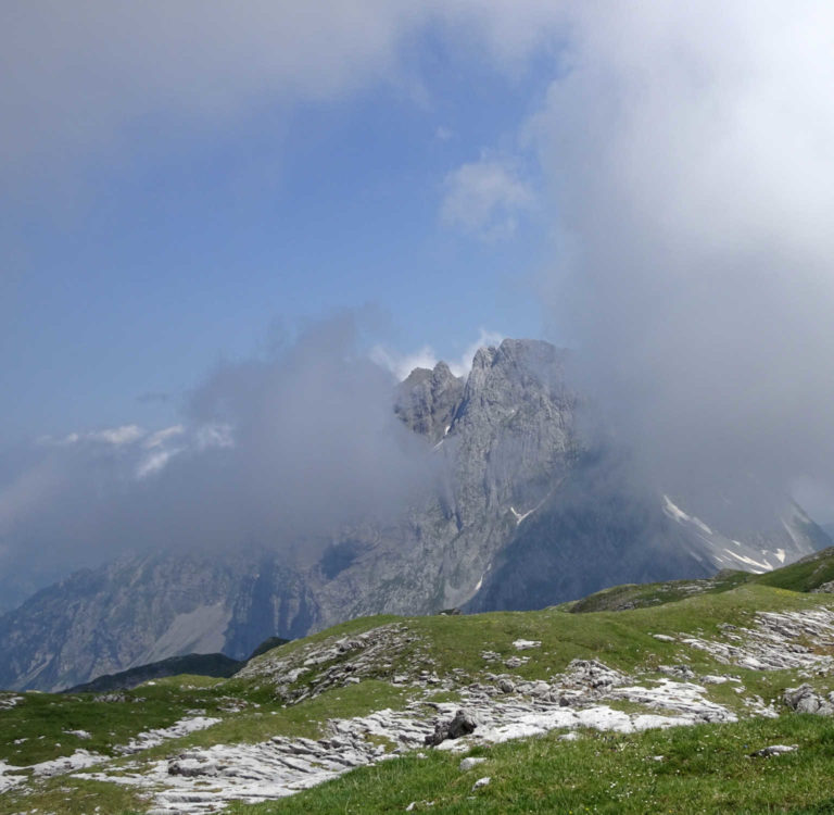 DSC06771 – Kopie