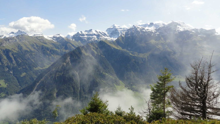 11 Panorama 1