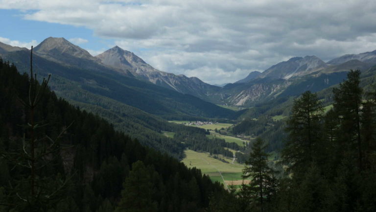 P1000871