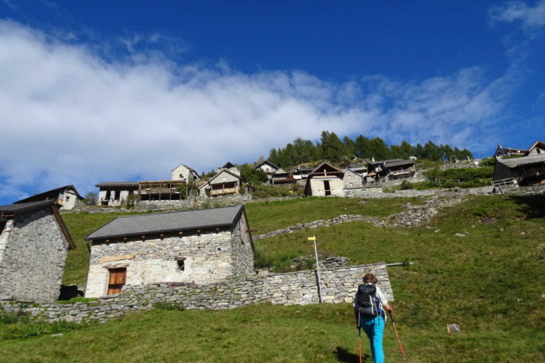 DSC08643