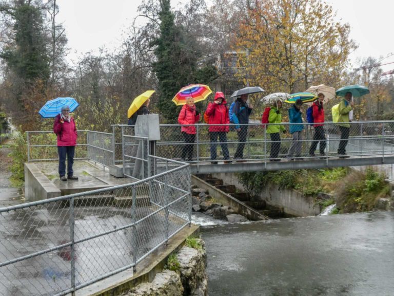 2019_SACUster_Bild01_P1070425-9-2