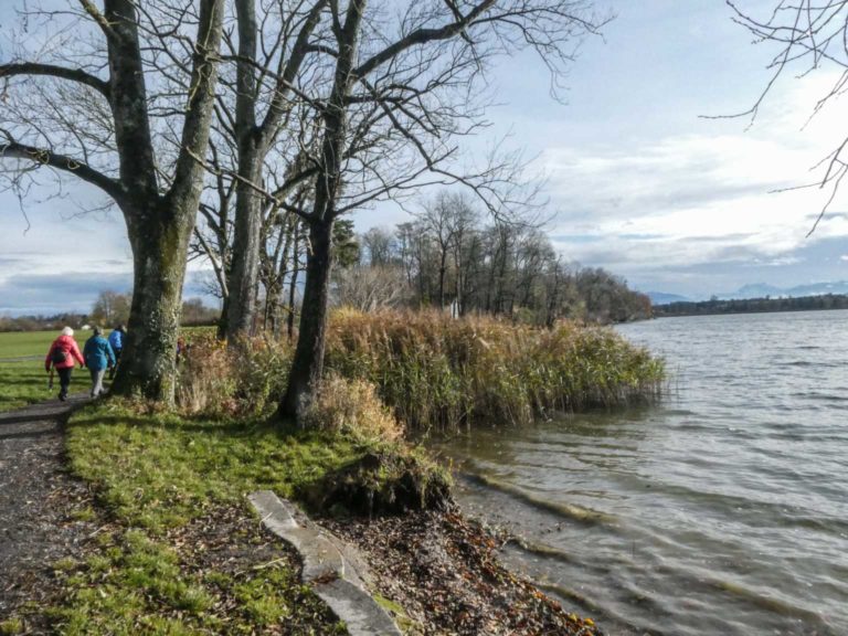 2019_SACUster_Bild09_P1070454-33-2