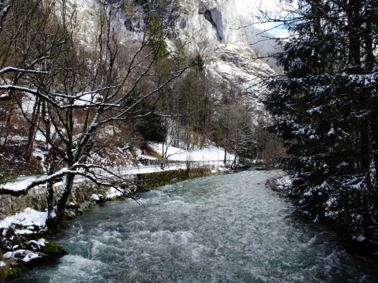 DSC08509