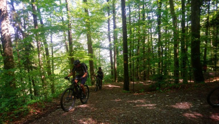 004_Aufstieg_zum_ Langenberg