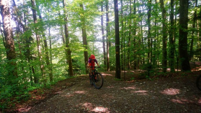 005_Aufstieg_zum_ Langenberg