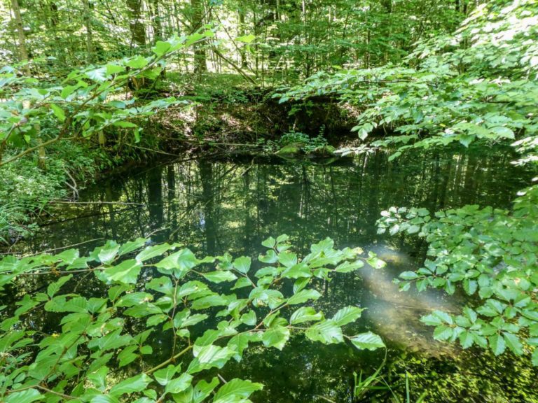 Bild18_P1080574-45