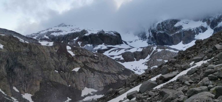 Ofenhorn 200621_1_Steinböcke