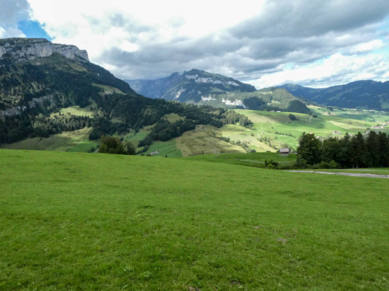 Bild05_P1080774-12-2