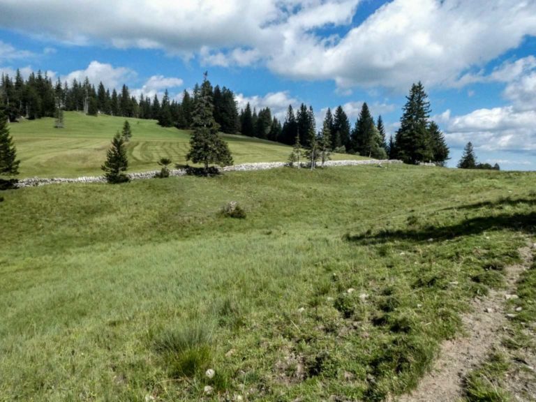 Bild08_P1080789-27-2