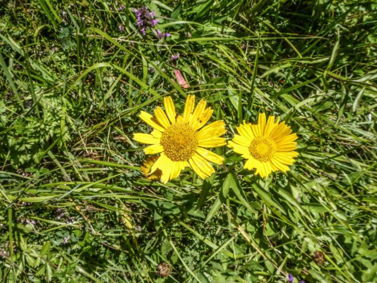 Bild18_P1080736-35-2
