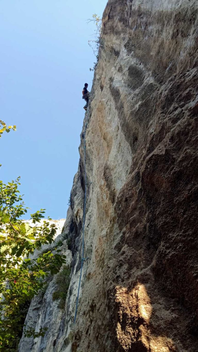IMG_20201010_114409_0