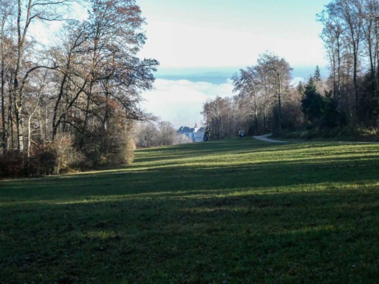 2020_11_SACLägern_P1090833-39-2