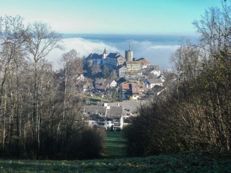 2020_11_SACLägern_P1090836-40-2