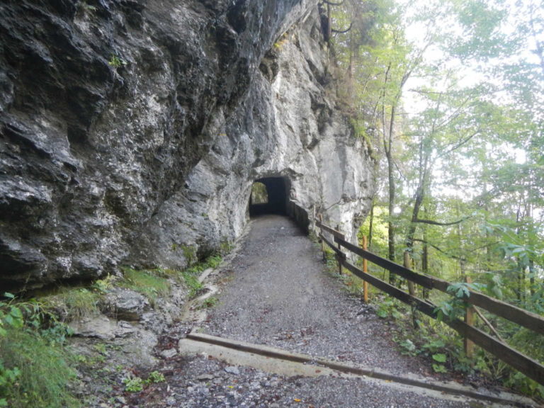 DSCN2685