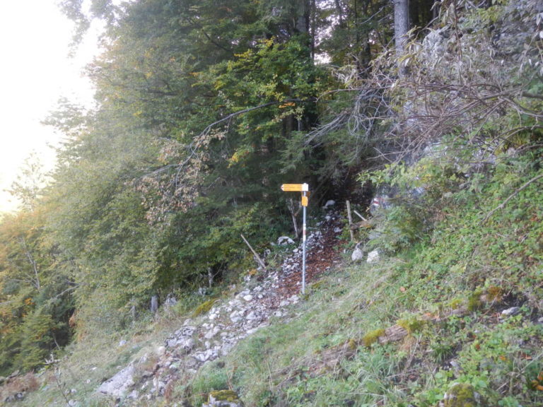 DSCN2687