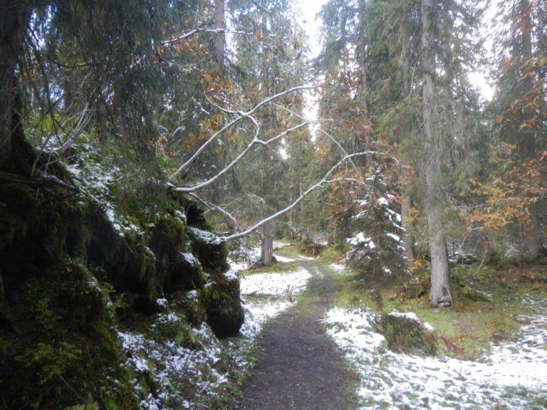DSCN2709