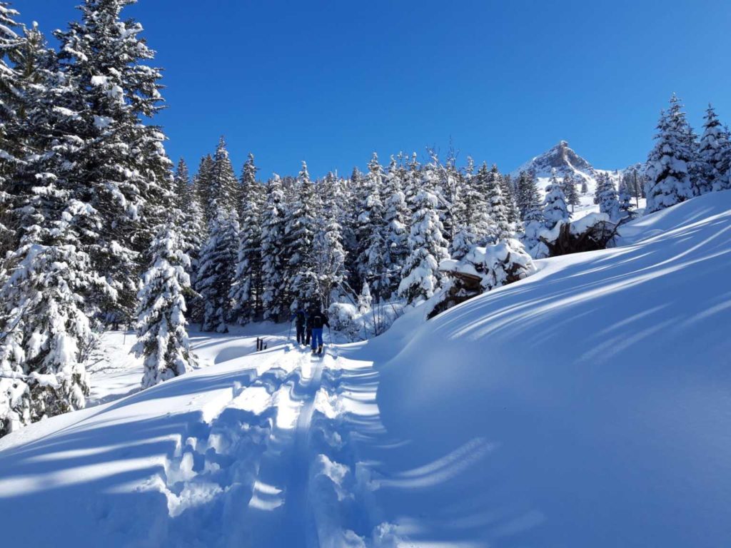 Skitouren Furkagebiet (S/B/WS) Franco Poletti