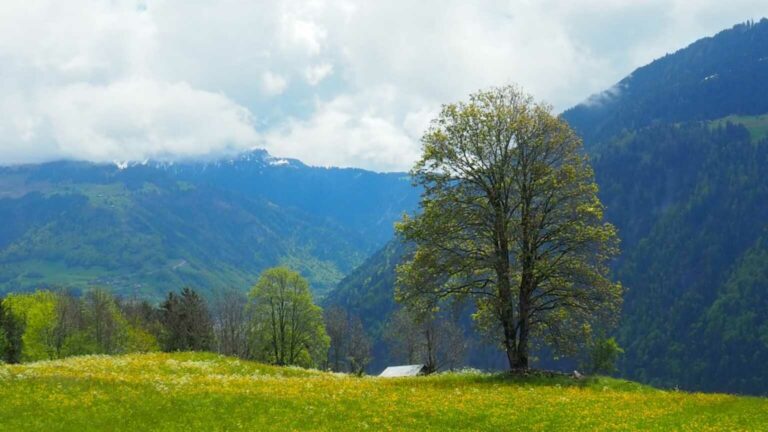 Bild04_2021-05-20 Seewis – Malans via Fadarastein 067