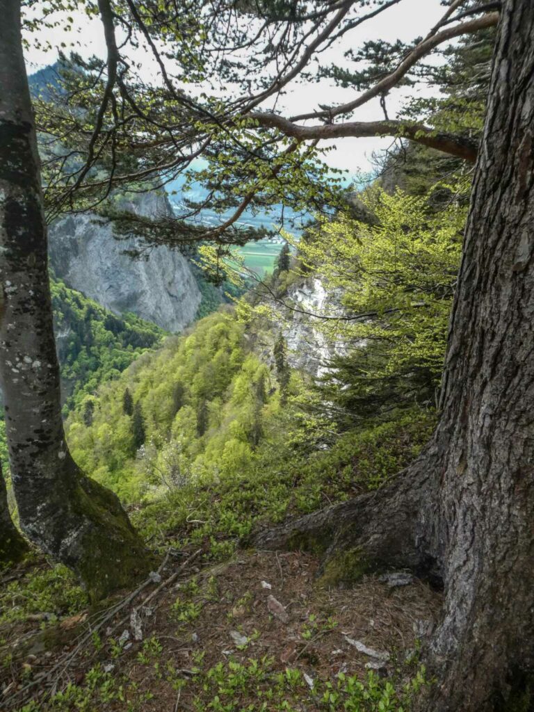Bild12_2021_SACFadära_Bild08_P1100428-21-2