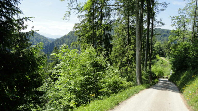04 DSC01950