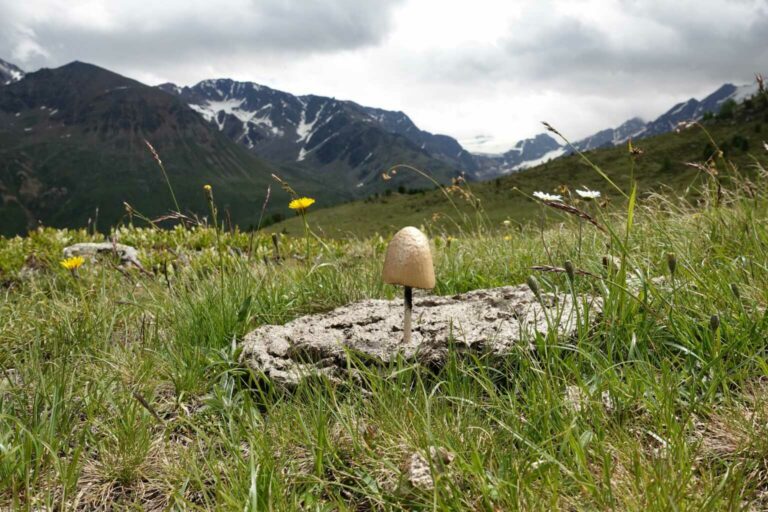 05Mittwoch02