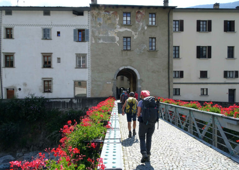 DSC00806