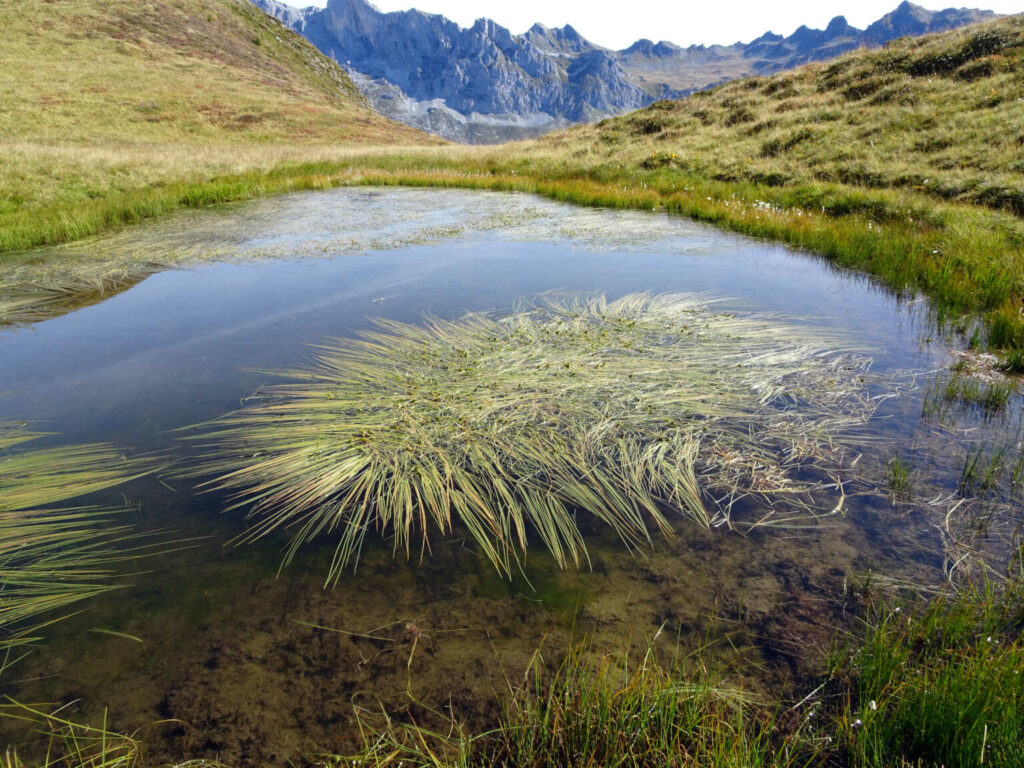 St.Antönier Seenwanderung , Carschinahütte  (W/B/T2) Alex Burri
