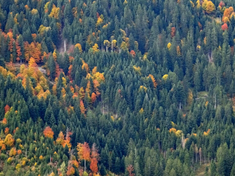 DSC01217