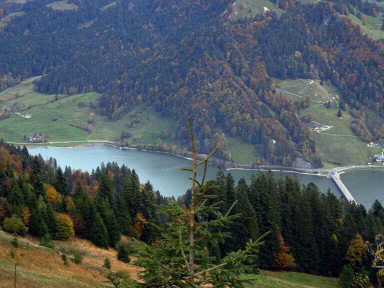 DSC01218
