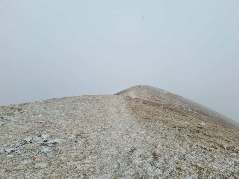 IMG-20211101-WA0023