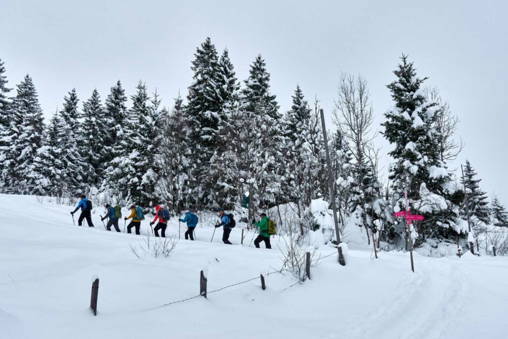 Schneeschutour in der Umgebung (SS/B/WT2) Franco Poletti