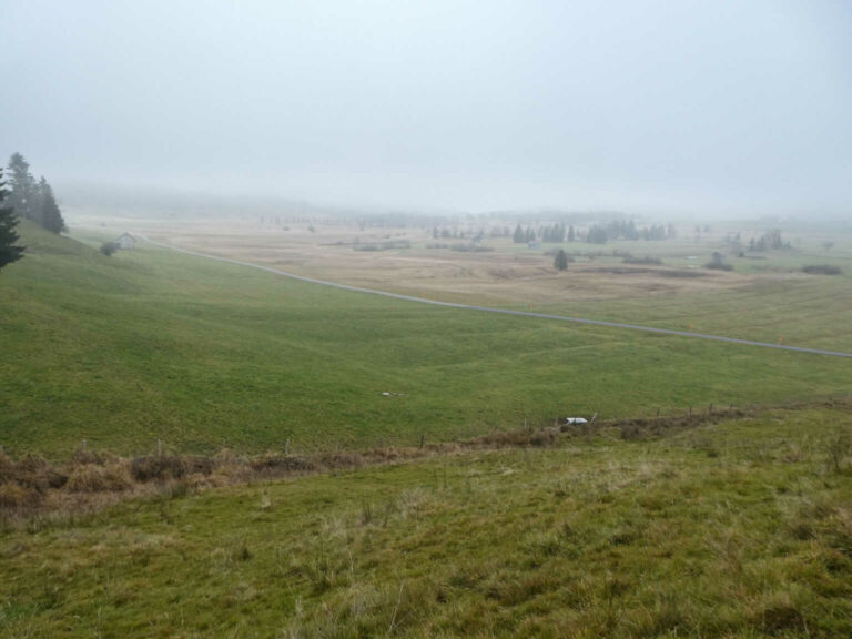 P1110659-46-2