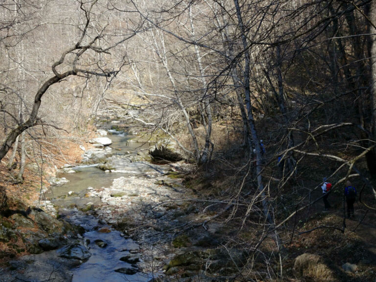 DSC01770