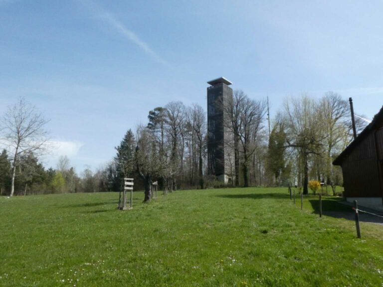 Bild10_P1120497-34