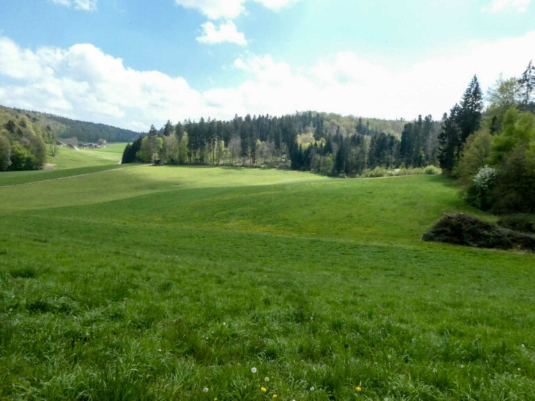 SACKaiserstuhl_Bild16_P1120690-13-2