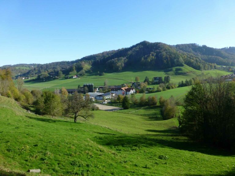 P1020065
