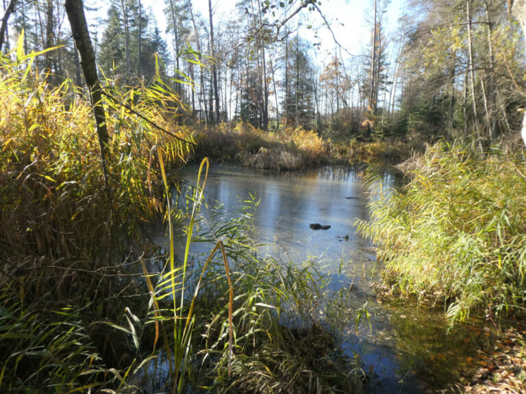 2022_SAC_Gurisee_Bild10