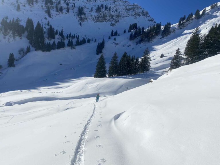 18707C7D-B6B9-450F-887F-18513ACF2D70