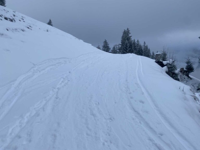 79058569-587F-46B1-9BB4-F1B285014588