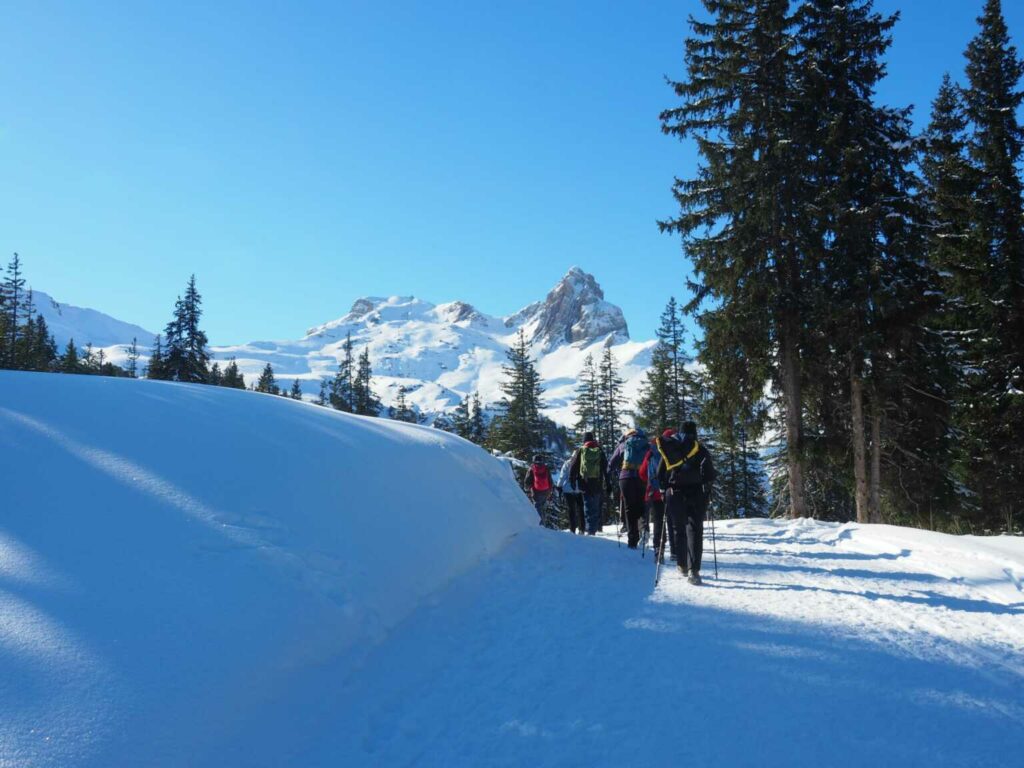 Winterwanderung Seebenalp (W/B/T2) Hans Gonzenbach