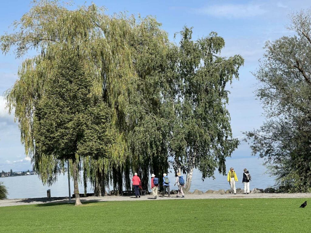 Wandern am Bodensee (W/B/T2) Elisabeth Kühne