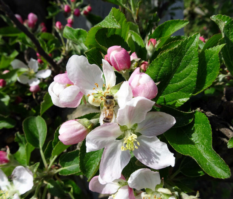 014