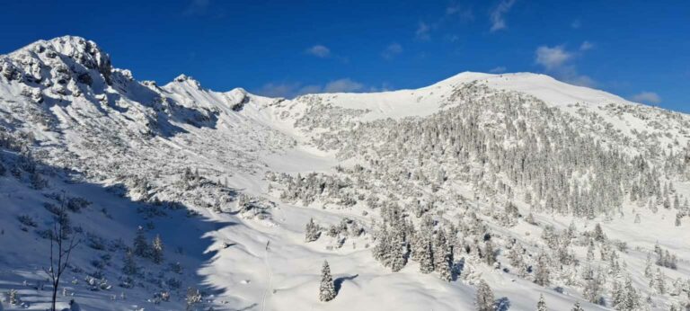 IMG-20250129-WA0005